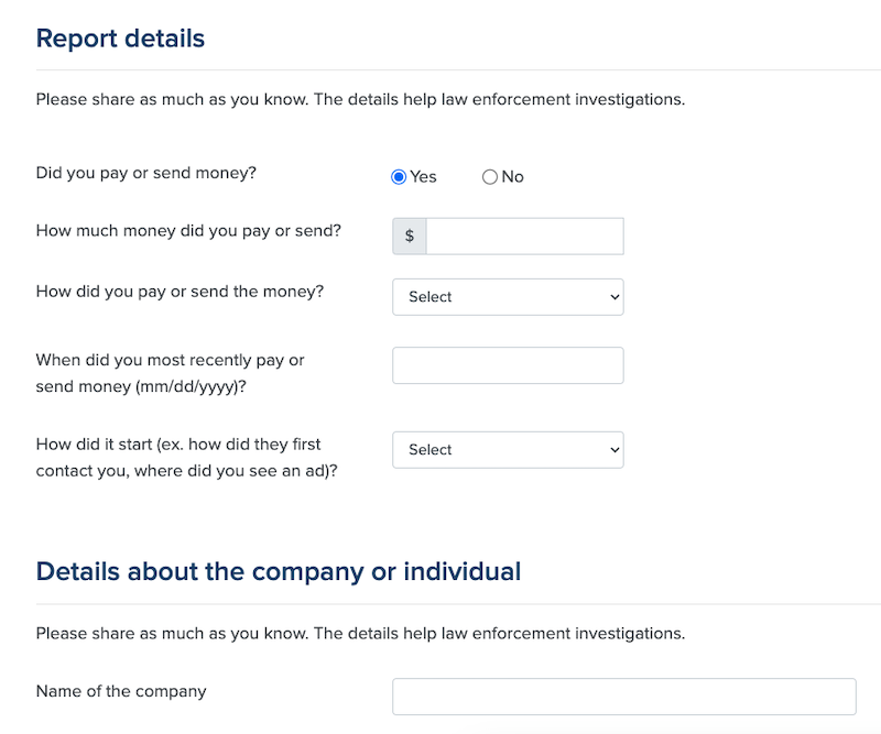 A form titled "Report details" with questions about paying or sending money, including amount and date fields. It also asks for details about the company or individual, with a field for the name of the company.