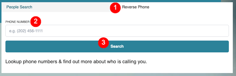 A screenshot of a people search webpage featuring a reverse phone lookup tool. There is a text box labeled "Phone Number" for entering numbers, with an example provided as (202) 456-1111. Below the text box is a "Search" button. Additional text reads, "Lookup phone numbers & find out more about who is calling you." Use 411.com opt out to protect your