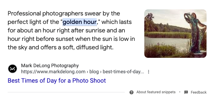 A text snippet discusses the golden hour's suitability for photography, showing a regal woman posing by a lake in soft, diffused light. Below, a web link to Mark DeLong's photography blog is visible, titled "Best Times of Day for a Photo Shoot.